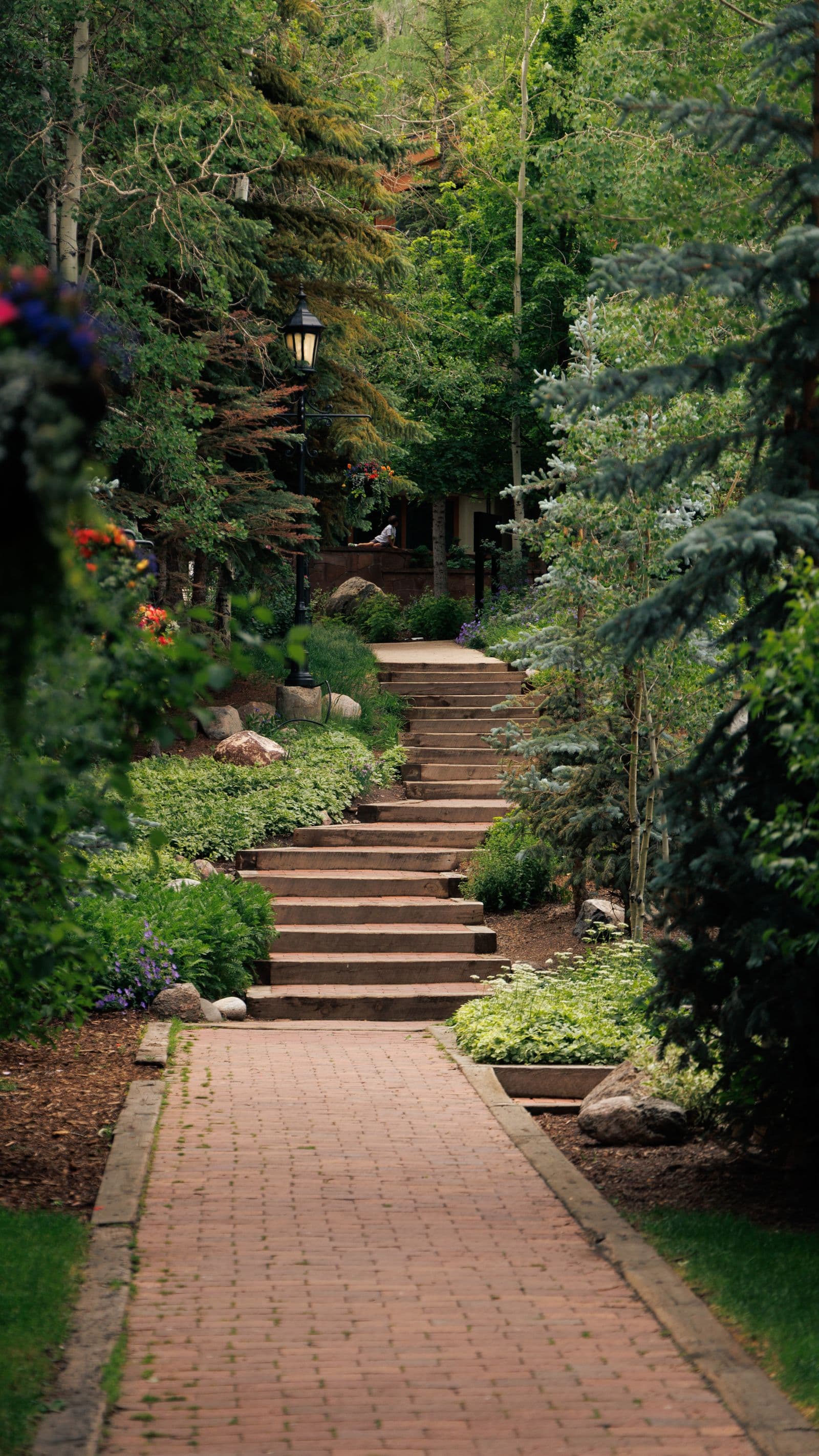 A brick pathway with steps winding through a garden