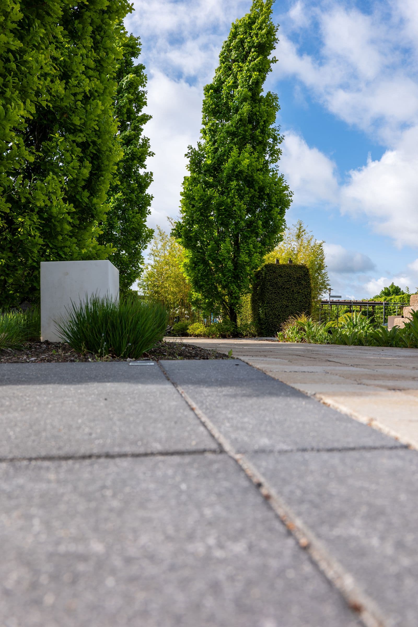 A paver patio bordered by neatly clipped hedges