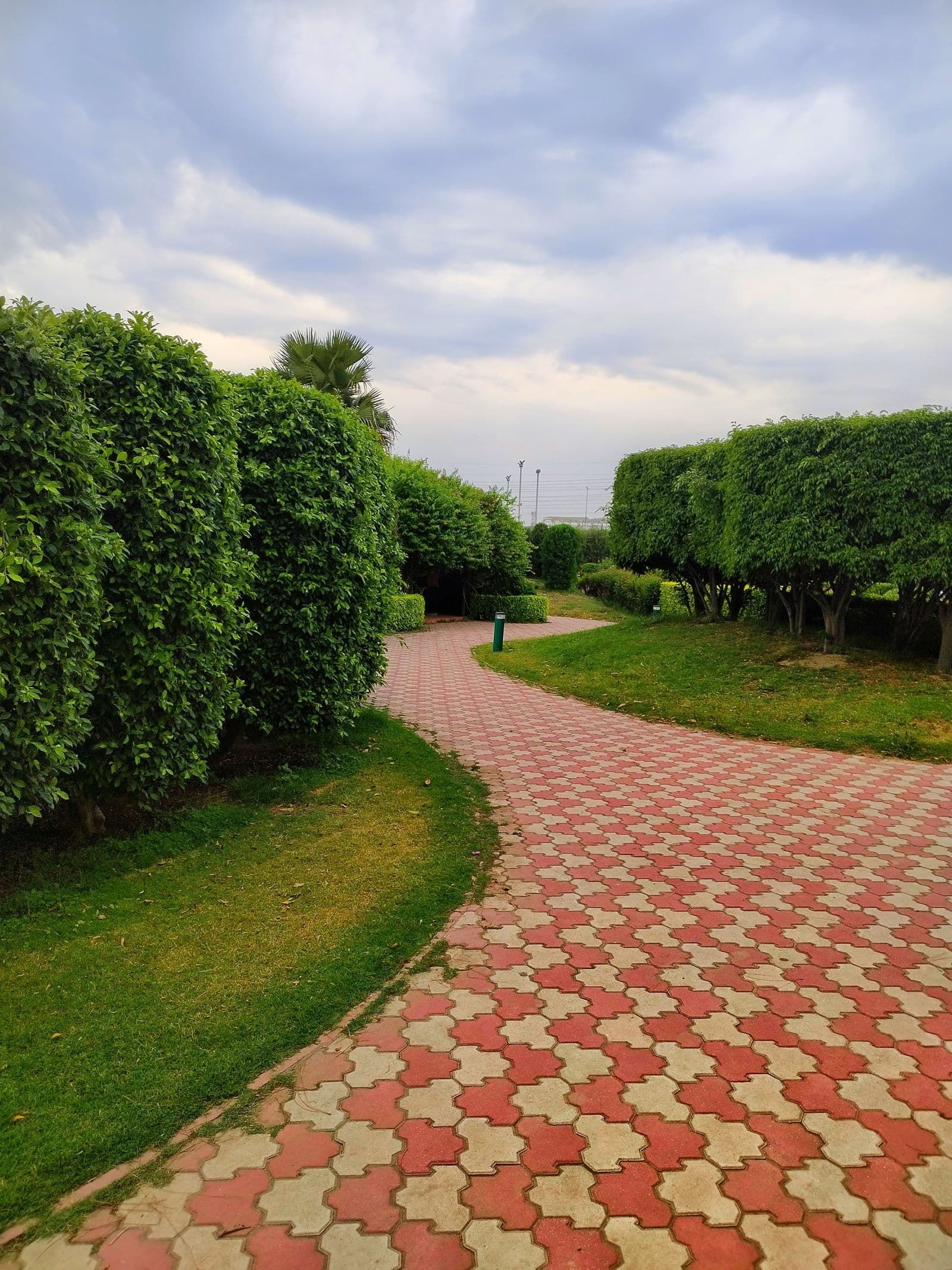 A curved paver walkway leading through manicured beds